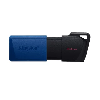 Kingston USB Flash memorija 64GB DTXM/64GB