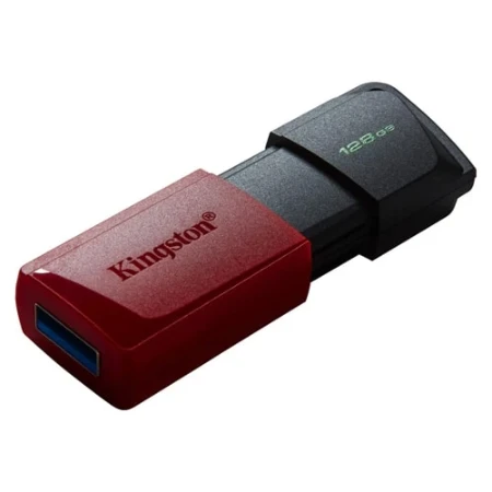 Kingston USB Flash memorija 128GB DTXM/128GB